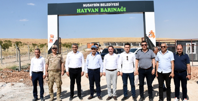 Vali Demirtaş Nusaybin’i ziyaret ederek incelemelerde bulundu