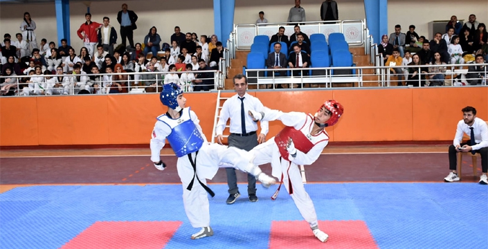 Nusaybinli Taekwondocular İl Şampiyonasında 42 birincilik aldı